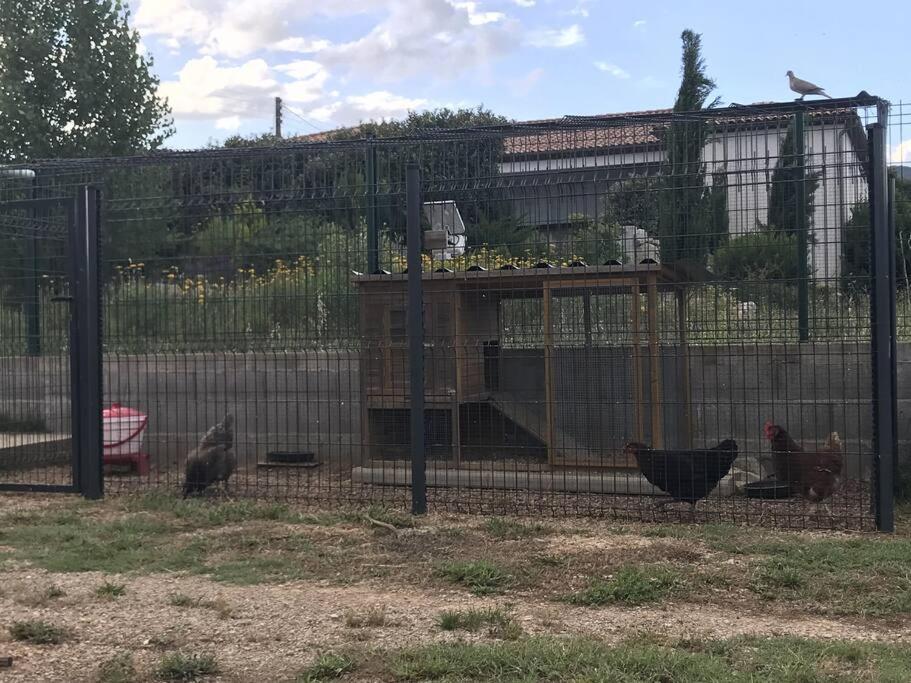 Cocon Aux Portes Des Cevennes Avec Piscine Moulès-et-Baucels Exterior foto